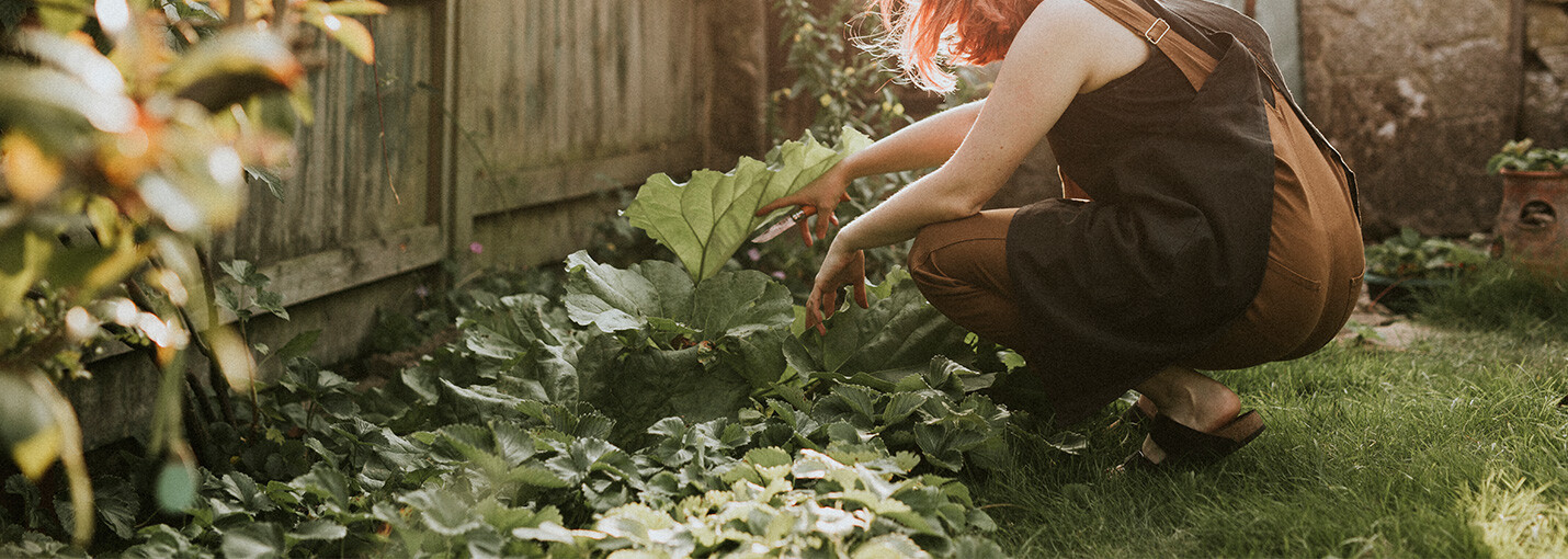 Image Asbestos Tainted article body