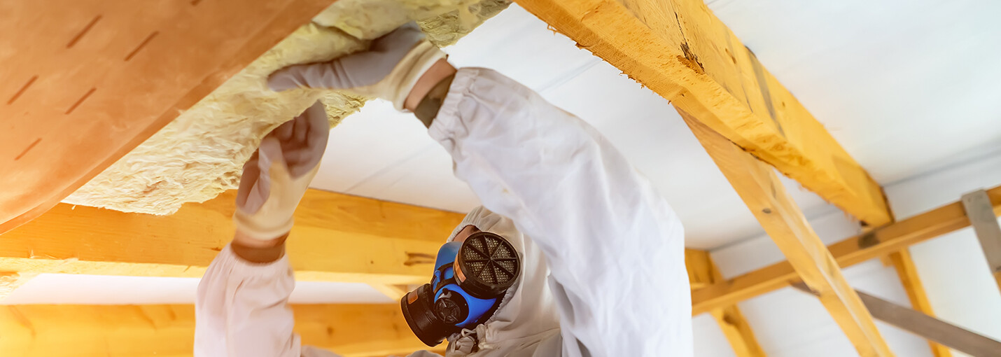 Image Asbestos Mold article body